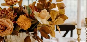 flores resitentes al clima de valencia