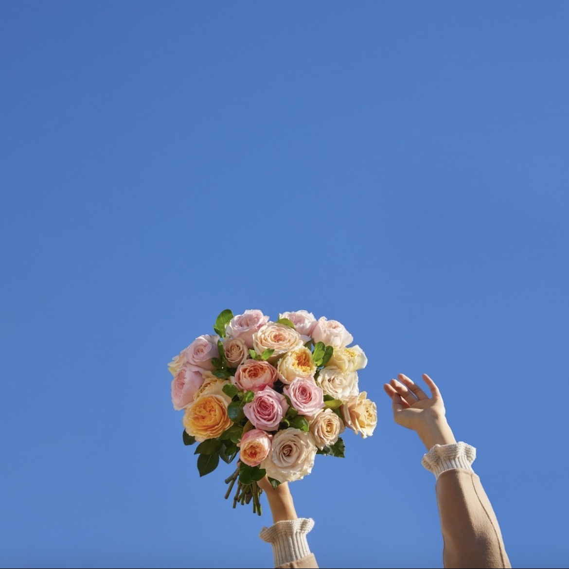 Ramo de flores con el cielo azul de fondo