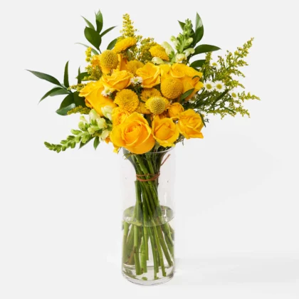 Sol de Migdia - Simple