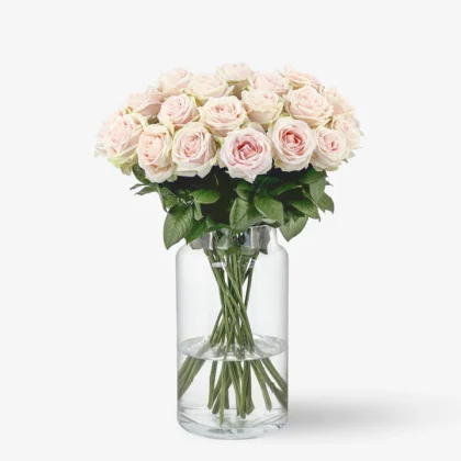 Rosa de Llum