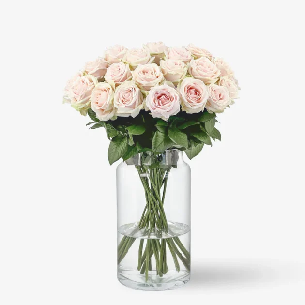 Rosa de Llum