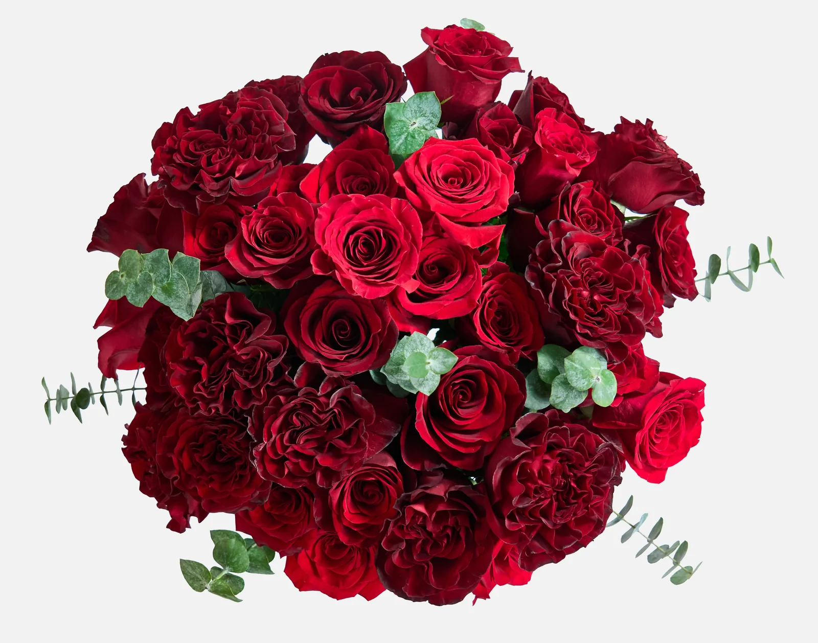 El Meu Valentí - Doble - Imagen 2