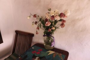 Bromelias: cómo cuidarlas para que duren más