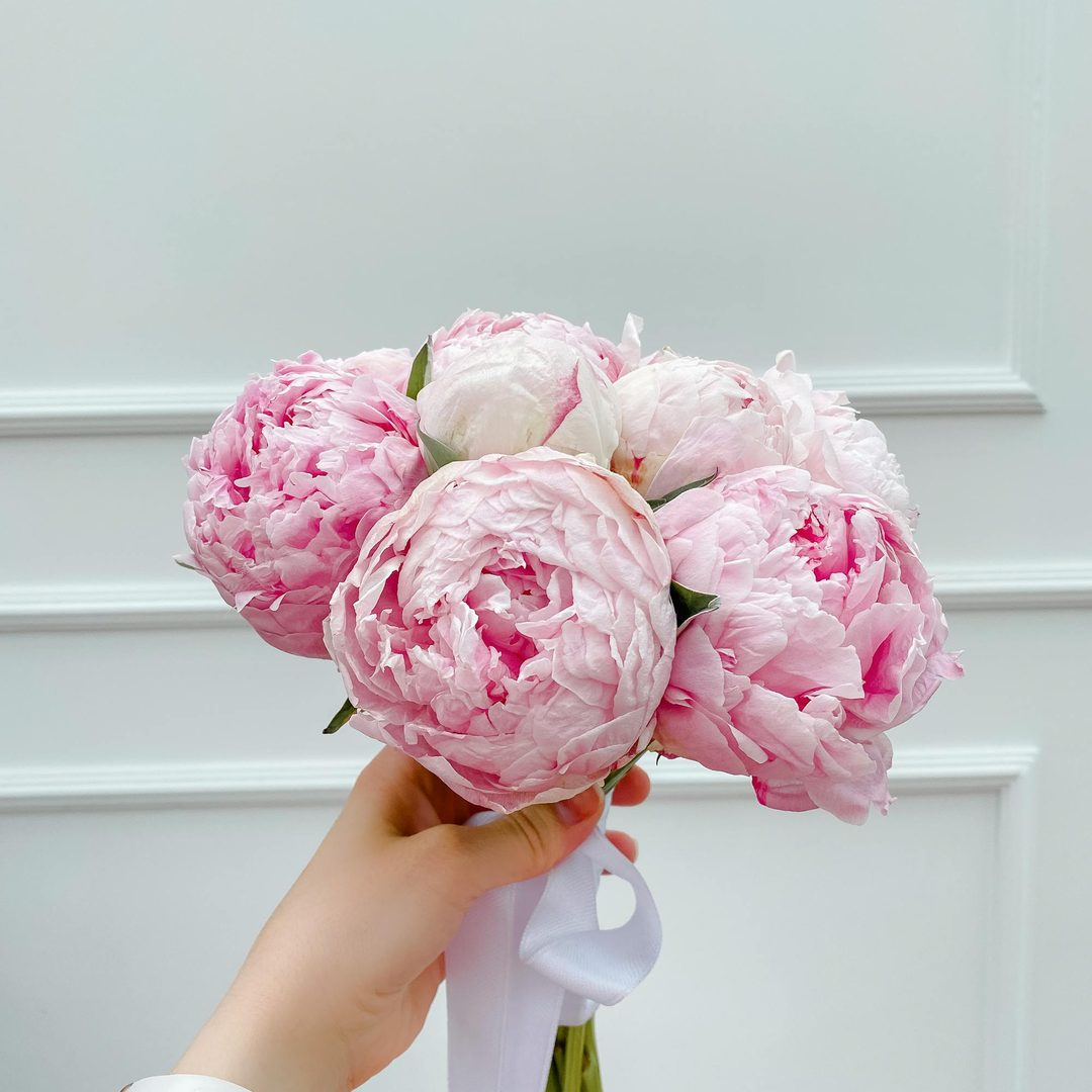 Ramo de peonías rosas con cinta blanca, regalo de Antea Flora para ocasiones especiales en Valencia