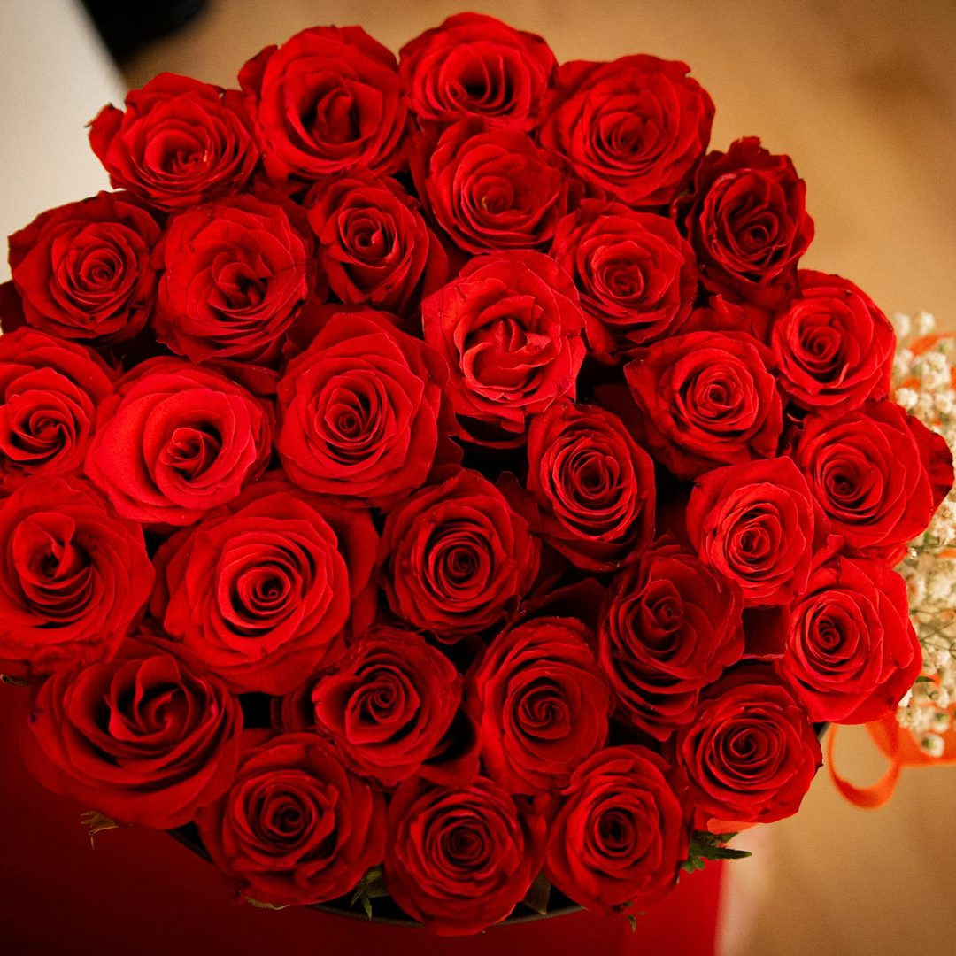 Ramo de 50 rosas rojas premium, regalo de aniversario y San Valentín de Antea Flora Valencia