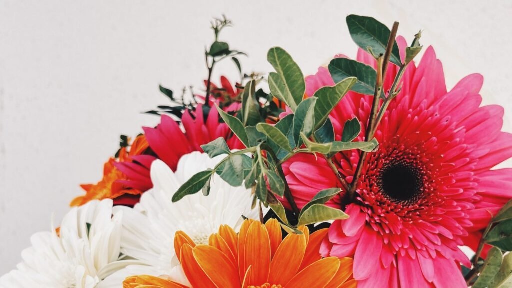 Ramo de gerberas naranjas, rosas y blancas envuelto en papel, flores sin aroma adecuadas para un hospital
