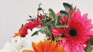 Ramo de gerberas naranjas, rosas y blancas envuelto en papel, flores sin aroma adecuadas para un hospital